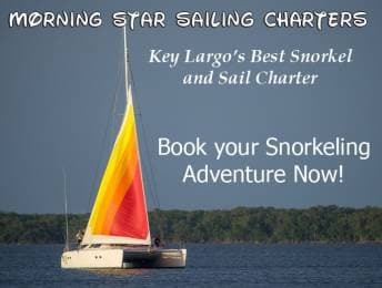 Morning Star Sailing Charters — book your snorkeling adventure now